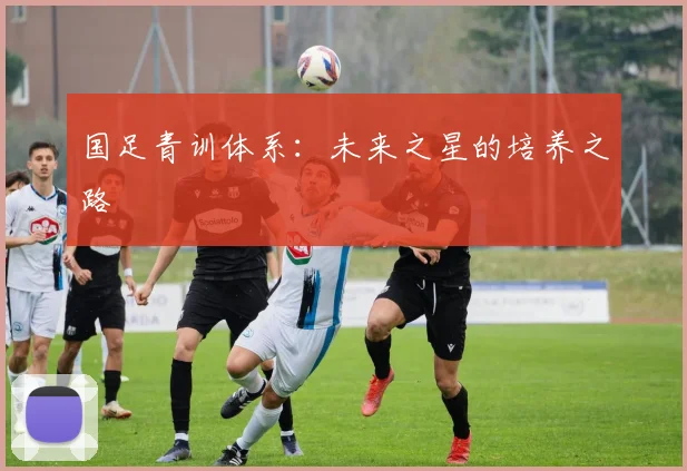国足青训体系：未来之星的培养之路